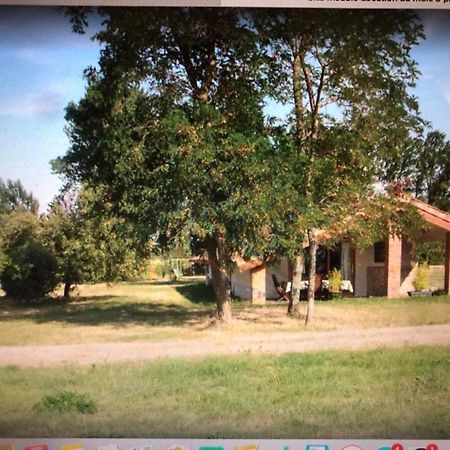 Location Gite 4 Personnes Mazeres - La Petite Maison Exterior photo